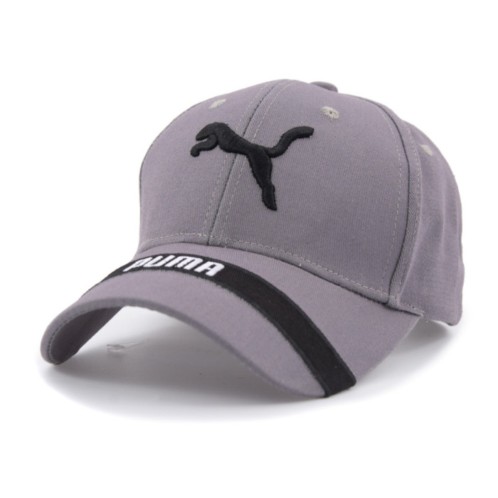 Бейсболка Liss PUMA смуга-рамка козирок сірий